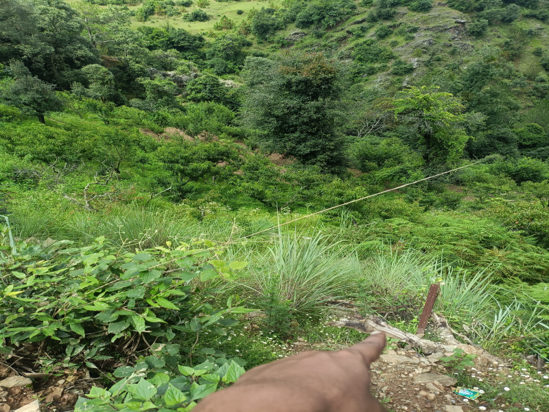 Agricultural/Farm Land For Sale In Kosya Kutauli, Nainital (2700 Sq.ft.)