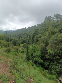 Property for sale in Kosya Kutauli, Nainital