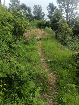 Property for sale in Ramgarh, Nainital