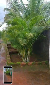 Agricultural/Farm Land for Sale in Mumbai Goa Highway, Mumbai (15 Acre)