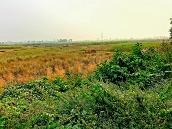 Property for sale in Motihari, Champaran