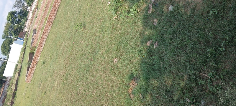 Residential Plot For Sale In Barauli Ahir, Agra (250 Sq. Yards)