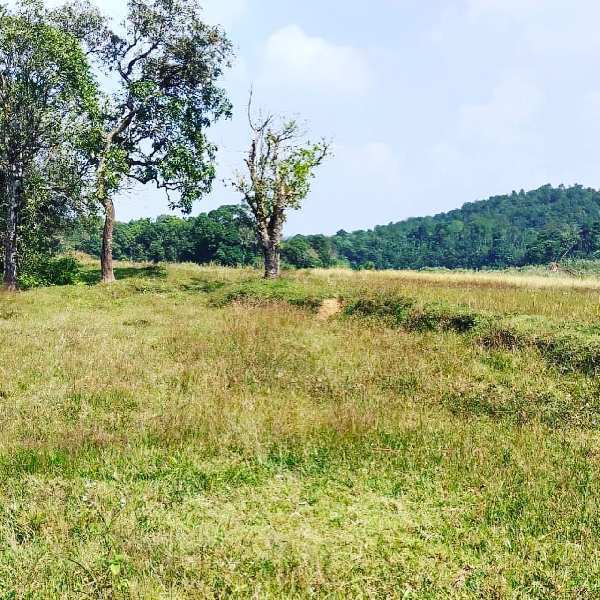 1 acre 18 Gunta agri land for sale In Mudigere  Chikkamgaluru