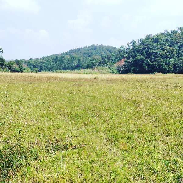1 acre 18 Gunta agri land for sale In Mudigere  Chikkamgaluru