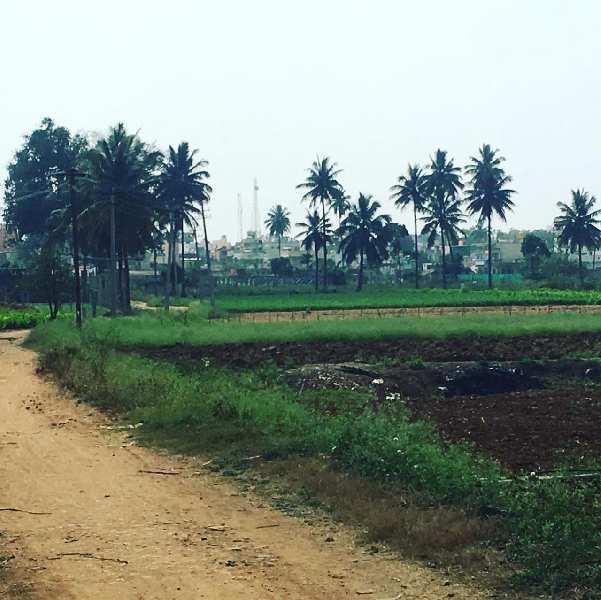 1 acre 10 guntas farm land for sale in Vijayapura - Bengaluru rural
