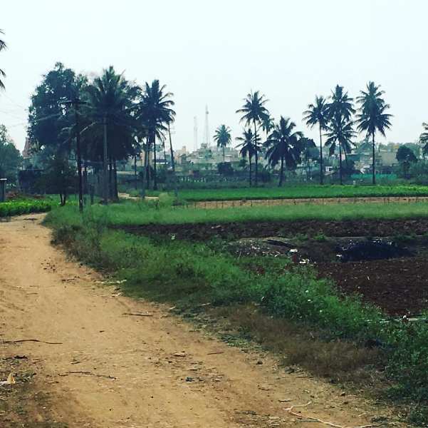 1 acre 10 guntas farm land for sale in Vijayapura - Bengaluru rural
