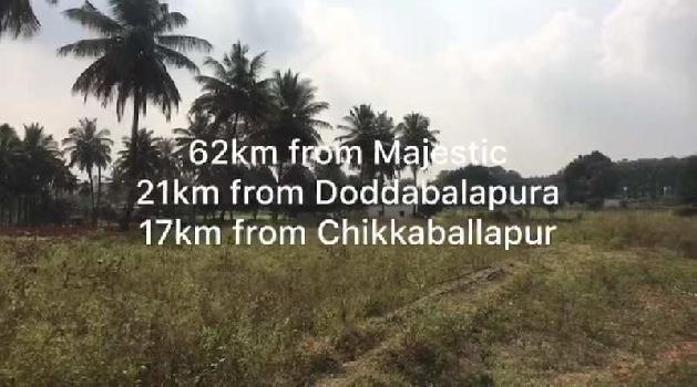 3 acres 38 guntas + 5 guntas karab farm land for sale in Chikkaballapura