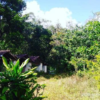 70 Acre land for sale in Chikkamagaluru