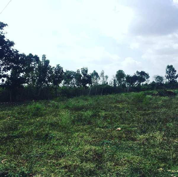 4 acres 2 guntas farm land for Sale in Doddballapura