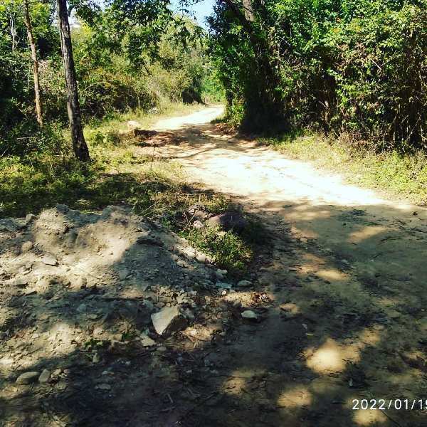 10 acre land for sale in Chikkamagaluru