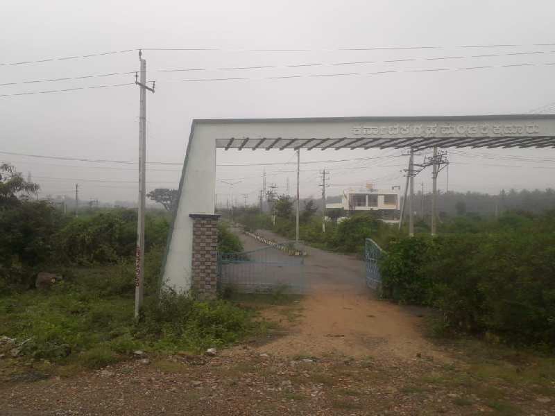 8318 Sq ft commercial site for sale in Kadur