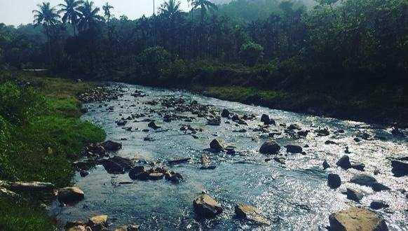 3 acre agri land for sale in mudigere
