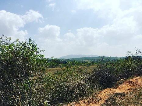 3 acres 20 guntas farm land for sale in Doddballapura , Bengaluru rural