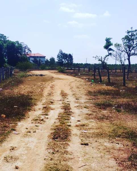 8000 sq feet residential site fr sale in Chikkamgaluru city