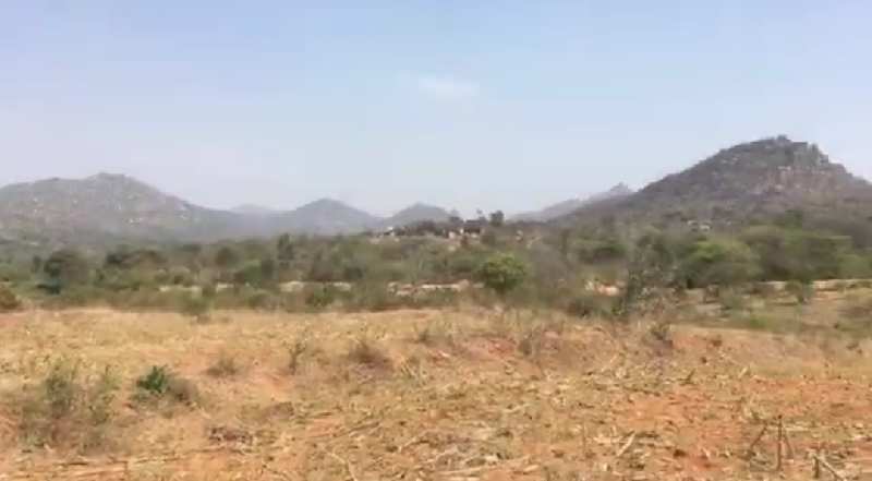 2 acres 12 guntas farm land for sale in Chikkaballapura