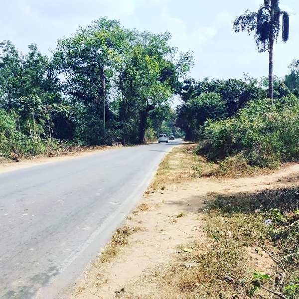 6 Acre Agricultural/Farm Land for Sale in Mudigere, Chikmagalur