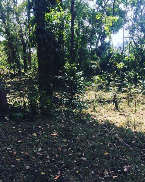 7.5 acre land for sale in Mudigere