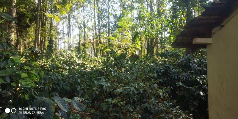 14 Gunta land for sale near Chikkamagaluru city