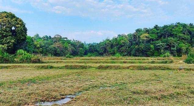 10 acre agri land for sale in sakleshpura