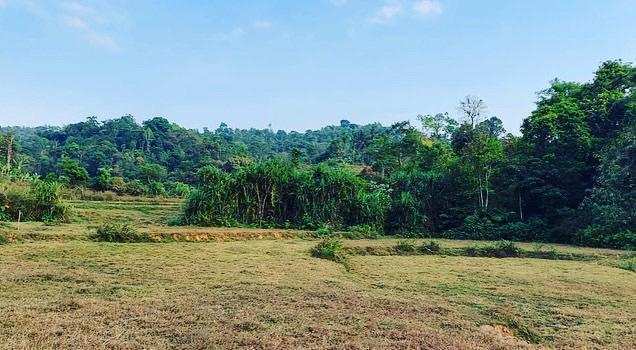 10 acre agri land for sale in sakleshpura