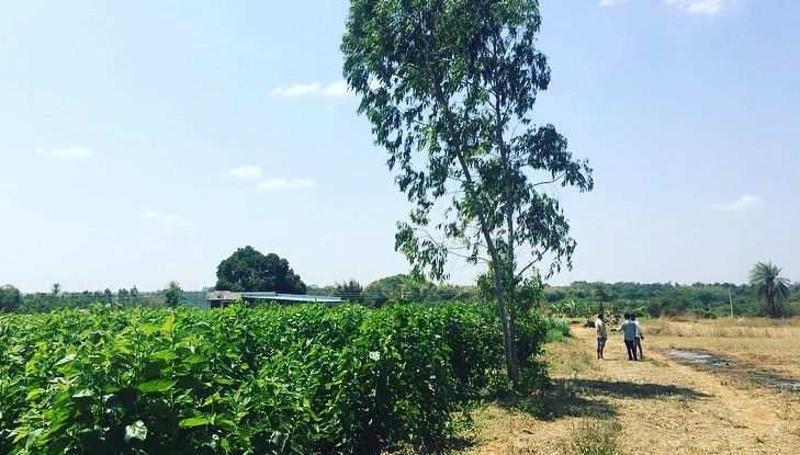 25 guntas farm land for sale in Doddballapura