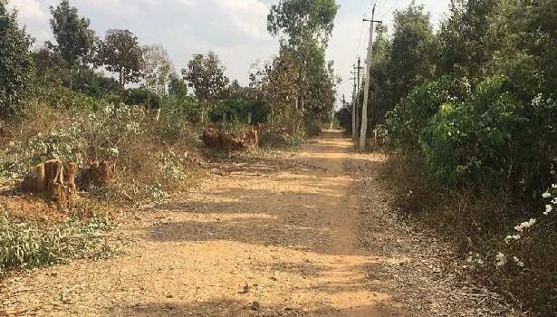 2 acres farm land for sale at prime location in Bangalore rural