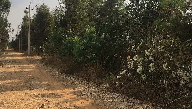 2 acres farm land for sale at prime location in Bangalore rural