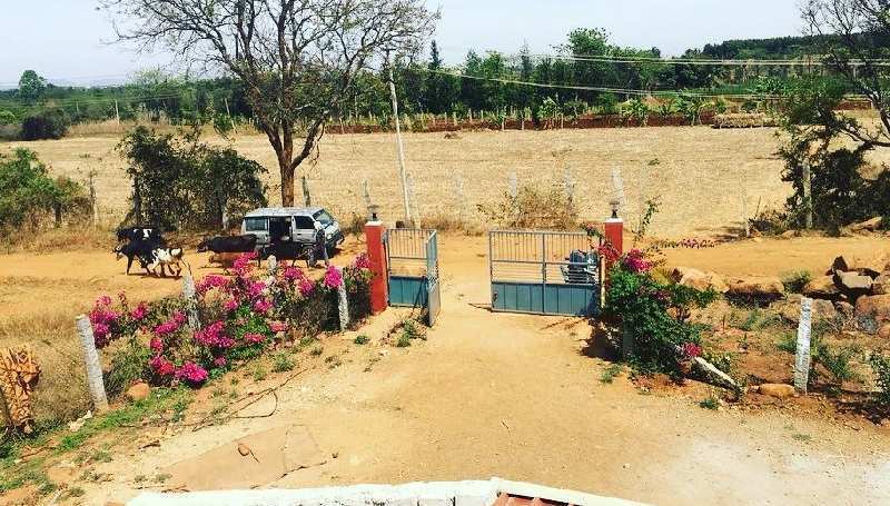 1 acre 24 guntas Developed farm house for sale in Bangalore rural