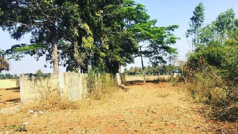 16 guntas farm land for sale in Bangalore rural