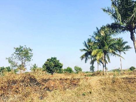 2 acres + 10 guntas karab farm land for sale in Gati Subramnya road , Bengaluru rural