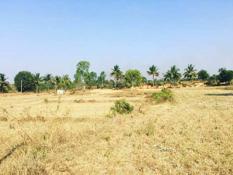 2 acres + 10 guntas karab farm land for sale in Gati Subramnya road , Bengaluru rural