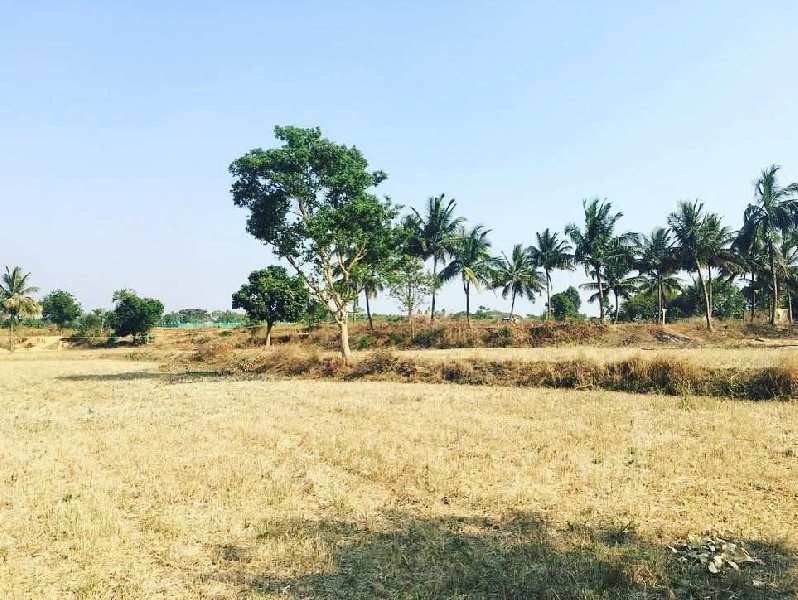 2 acres + 10 guntas karab farm land for sale in Gati Subramnya road , Bengaluru rural