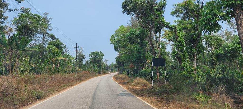 6 acre cardamom plantation for sale in Bisle - Subramnya road