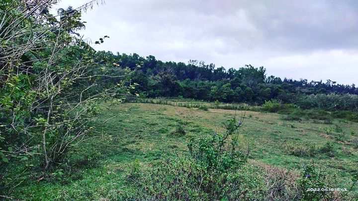 3.5 acre land for sale in Chikkamagaluru