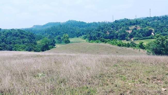 10 acre land for sale in Sakleshpura