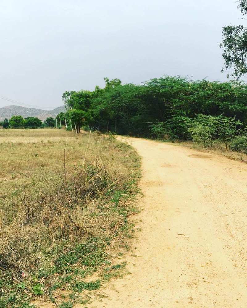 11 acres 4 guntas farm land for sale in Chikkaballapura