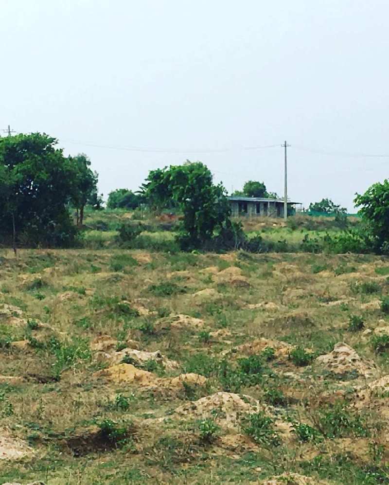 11 acres 4 guntas farm land for sale in Chikkaballapura