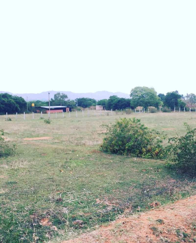2 acres *Hill View* farm land for sale in Chikkaballapura