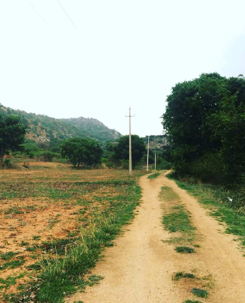 2 acres *Hill View* farm land for sale in Chikkaballapura