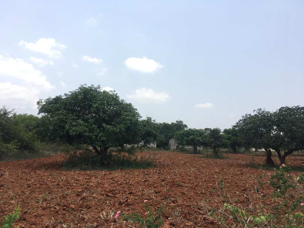 1 acre 20 guntas farm land for sale in Doddballapura