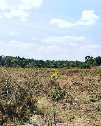 22 Acre Agricultural/Farm Land for Sale in ChikBallapur