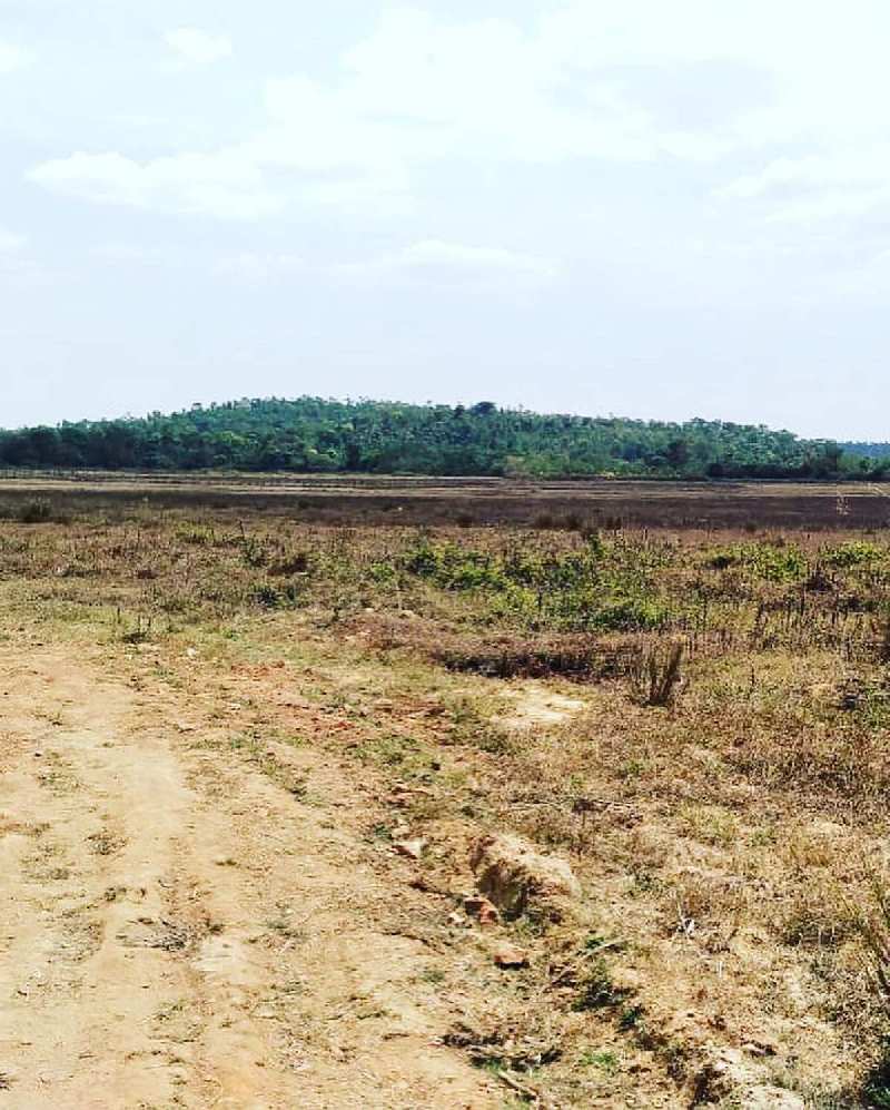 22 Acre Agricultural/Farm Land for Sale in ChikBallapur