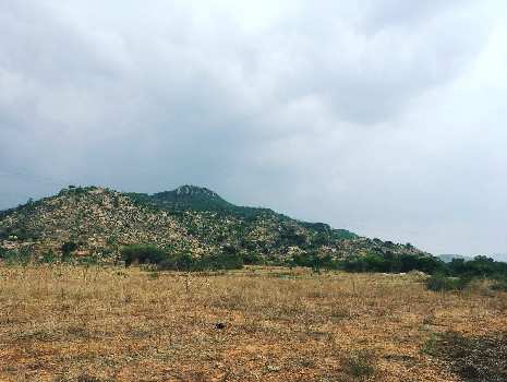 1 acre 31 guntas Hill view farm land for sale in Chikkaballapura