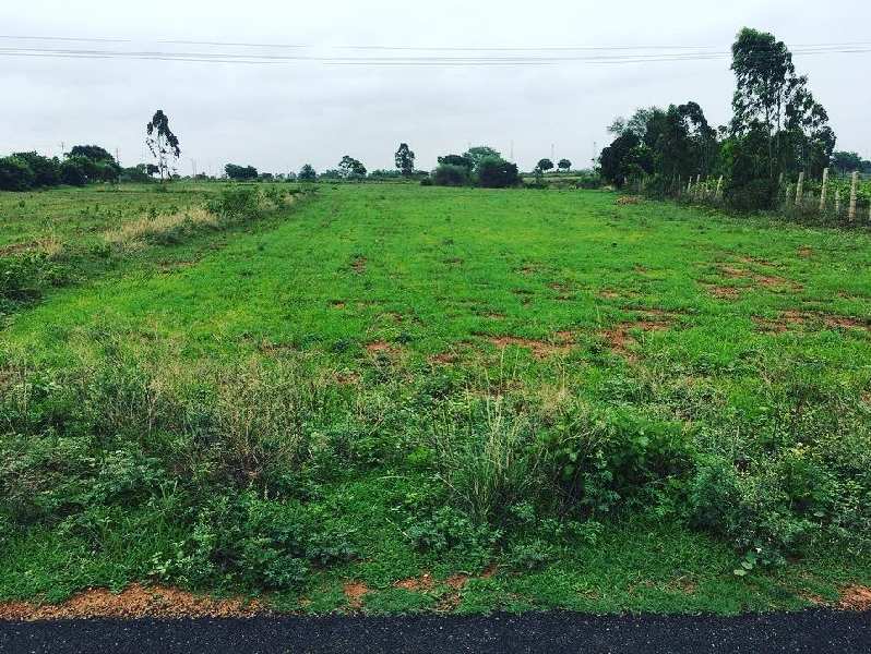 1 acre 2 guntas farm land for sale in Doddabelavngala  + 2 guntas karab.