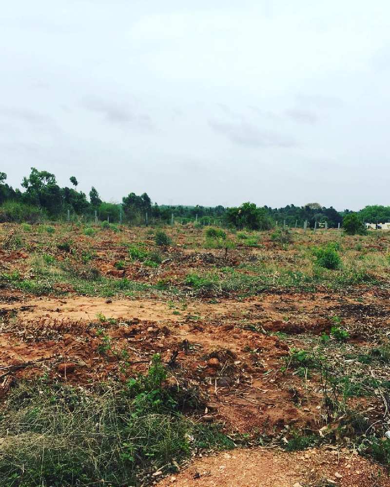 20 guntas farm land for sale in Bangalore rural