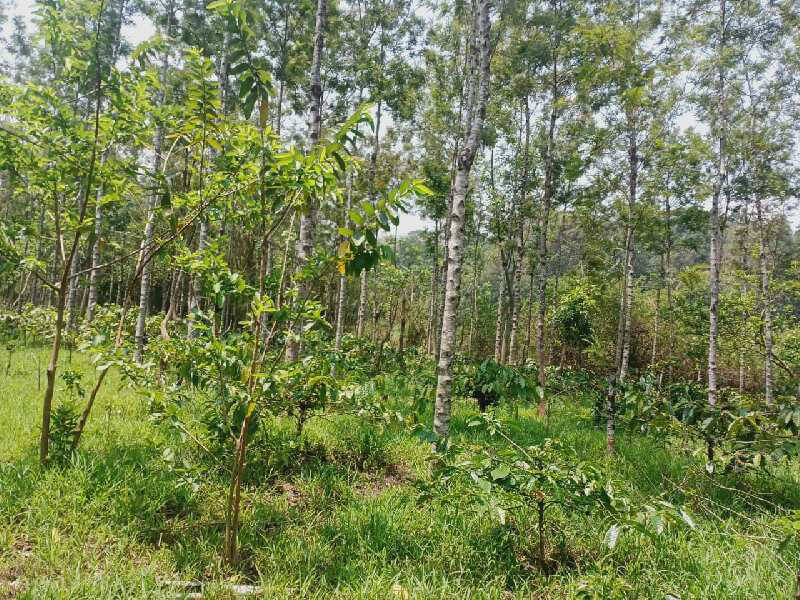 7.5 acre land for sale in Chilkamagaluru