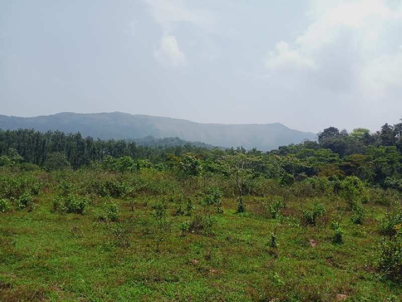 7.5 acre land for sale in Chilkamagaluru