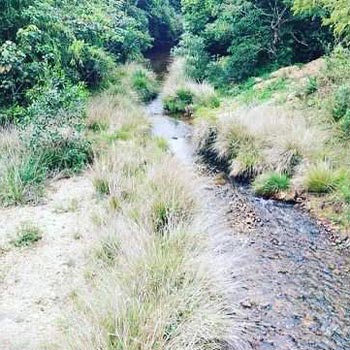 4 acre agriculture land for sale in Mudigere