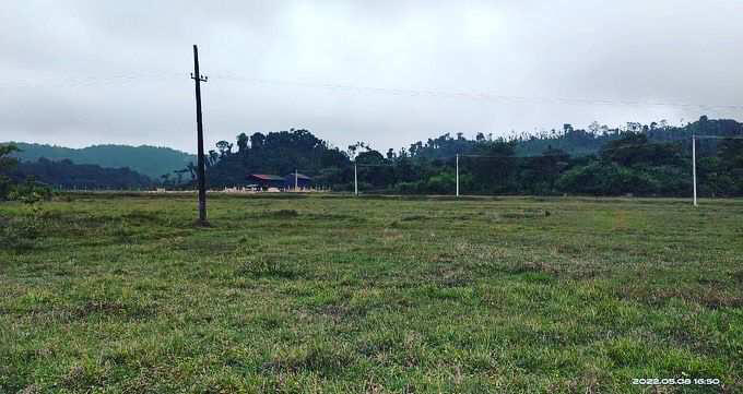 4 acre agriculture land for sale in Mudigere