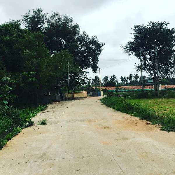 22 guntas farm land for sale in Nandihills main road